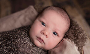 Powerful Photos Will Make Your PowerPoint Pop