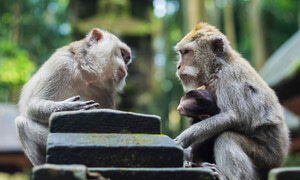 Take the Stress Out of Your Next Crucial Conversation 