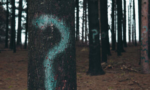 Better Questions = Better Communication